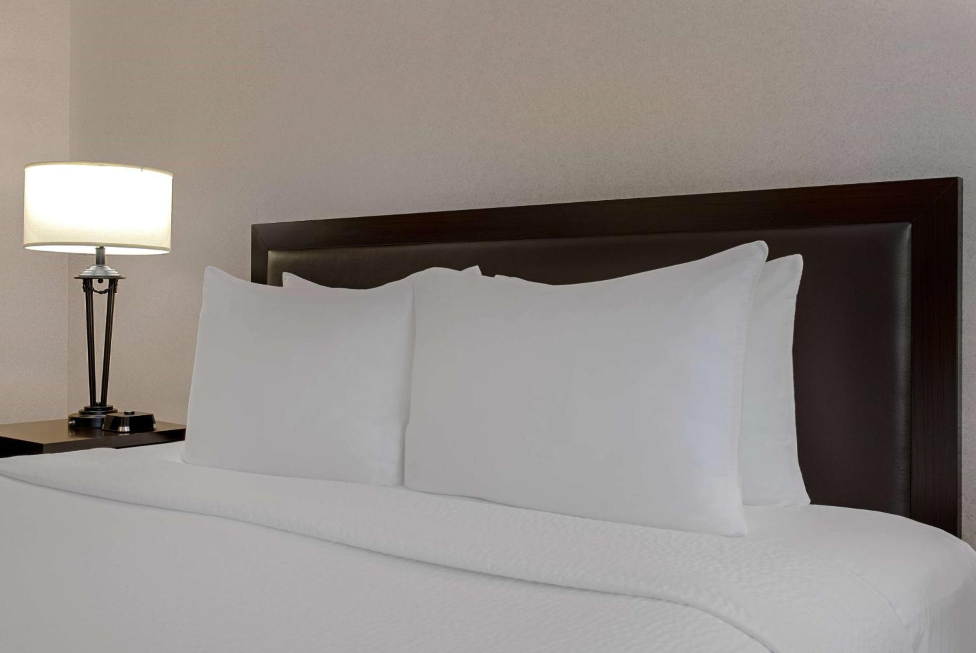 Ramada Plaza By Wyndham Calgary Downtown Hotel Bagian luar foto